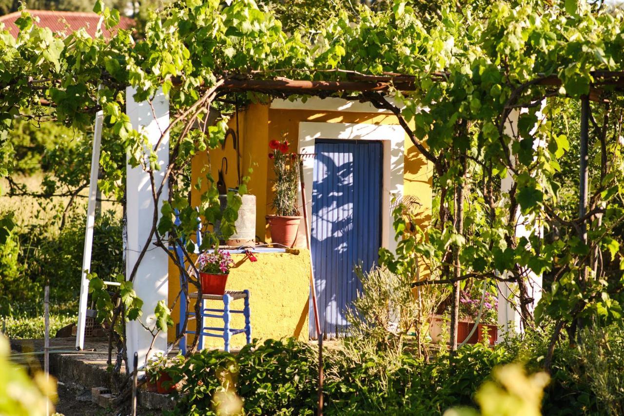 Villa Doreta Rodas Exterior foto