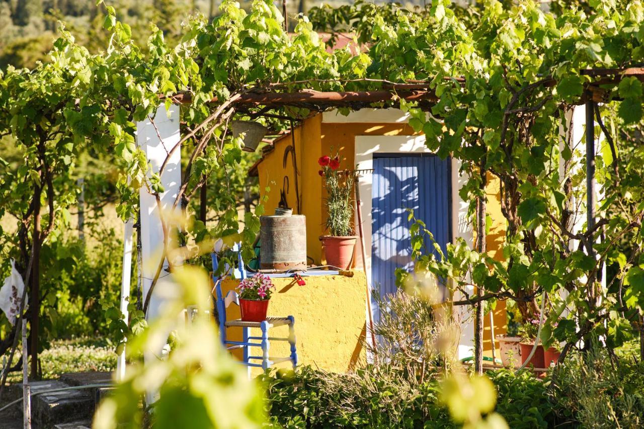 Villa Doreta Rodas Exterior foto